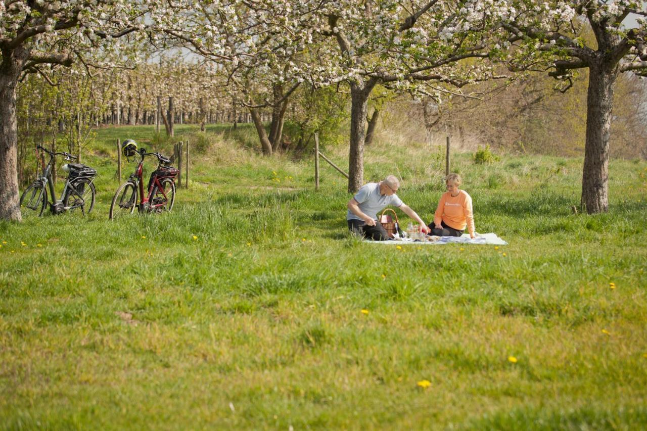 B&B De Kersentuin Borgloon Exterior photo